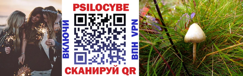 Псилоцибиновые грибы Cubensis  сколько стоит  Отрадное 