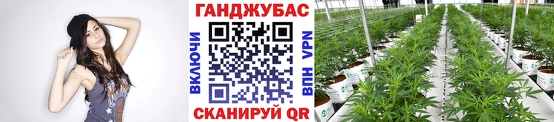 Канабис THC 21%  продажа наркотиков  Отрадное 